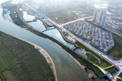 阳江新江台大道美的城项目湿地公园