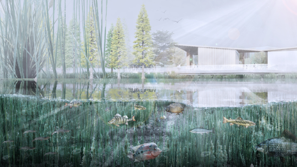 REMAC TY 景观 | 水生态设计：塑造一个充满活力的可持续发展的生态景观